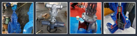 product-467-123 product-467-123