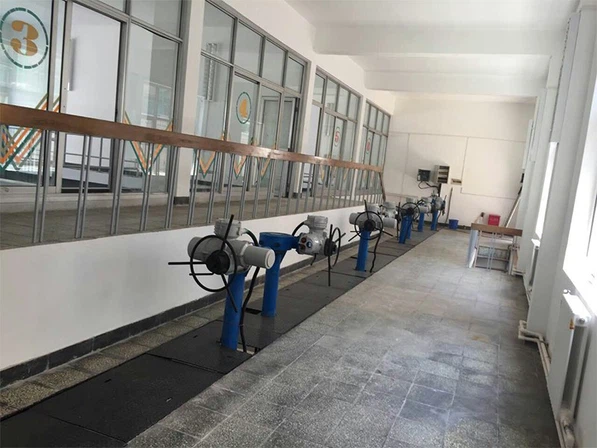 FRYQ FRYQ+BW electric actuators in the oil industry FRYQ FRYQ+BW electric actuators in the oil industry