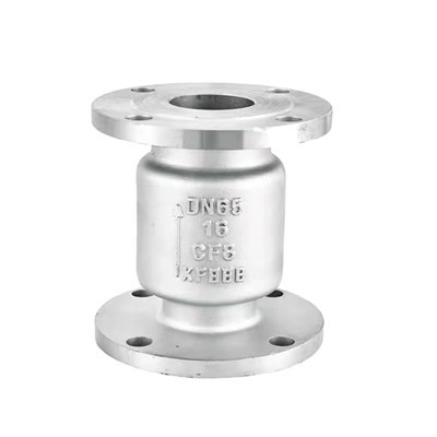 Válvula de retención de acero inoxidable con brida vertical